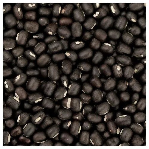 Black Lentils (Urad Dal) export from India