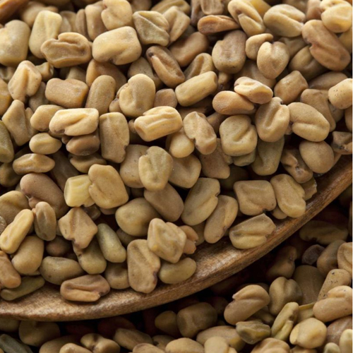 Fenugreek-Seeds export from India