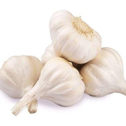 Garlic export from India