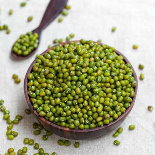 Green Lentils (Moong Dal) Export from India