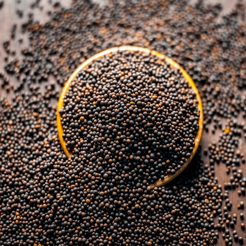 Mustard-Seeds export from India