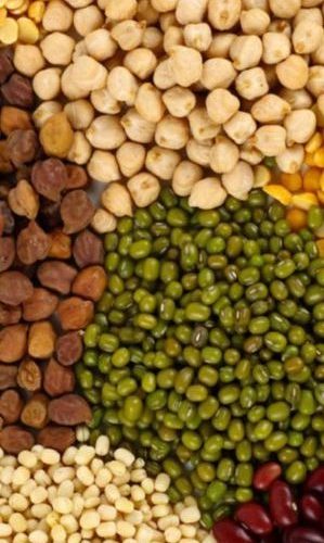 Pulses Export from India