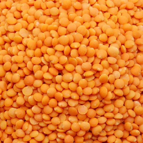 Red Lentils (Masoor Dal) export from India