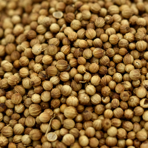 coriander-seeds export from India