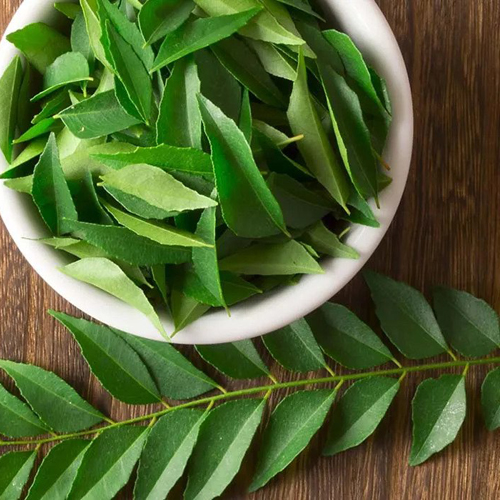 curry leaves export from india